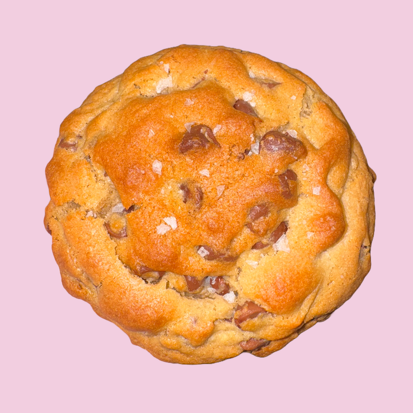 Salted Chocolate Chip Cookie